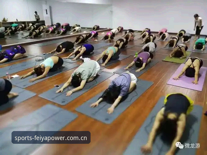飞亚体育专业竞技教程深度解析：从新手到达人的完整路径